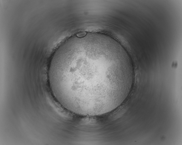 X0000111350354200907241203