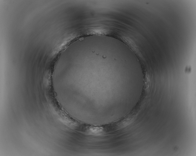 X0000111350355200907241203