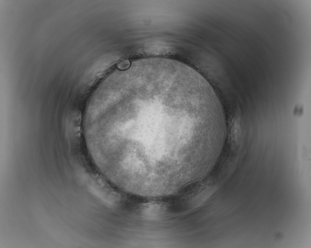 X0000111350356200907241203