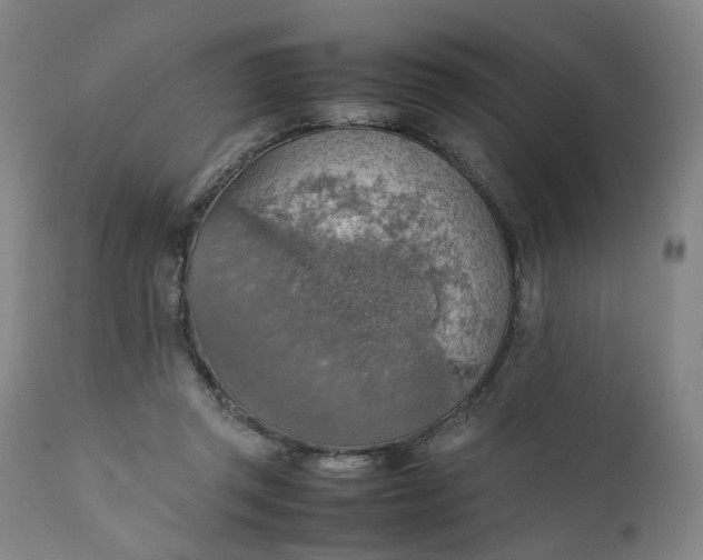 X0000111350357200907241204