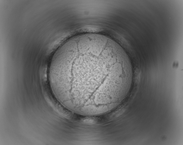 X0000111350358200907241204