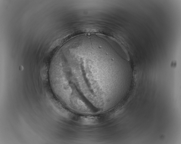 X0000111350359200907241204