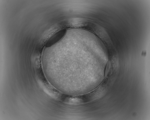 X0000111350360200907241204