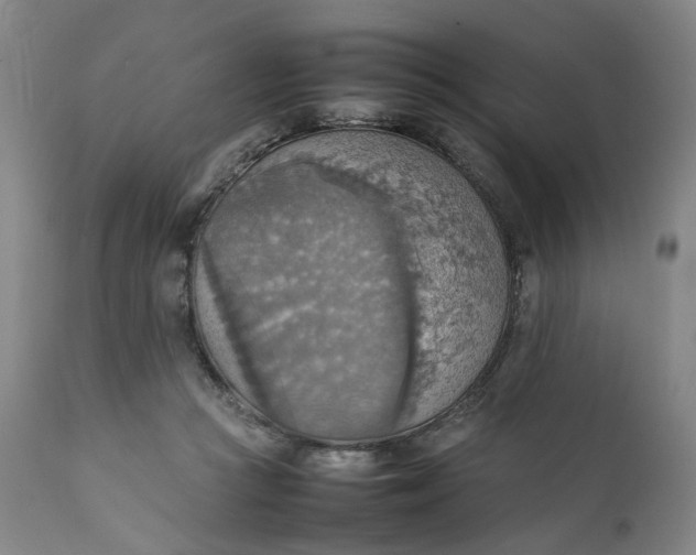 X0000111350361200907241204