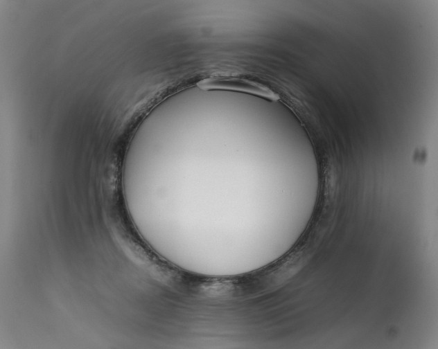 X0000111350362200907241204