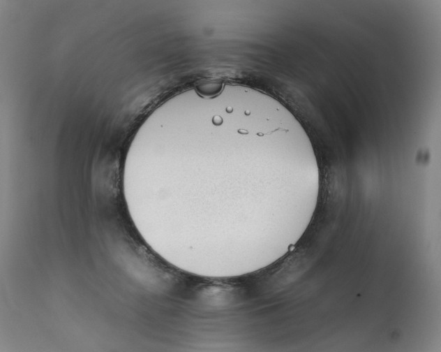 X0000111350364200907241204