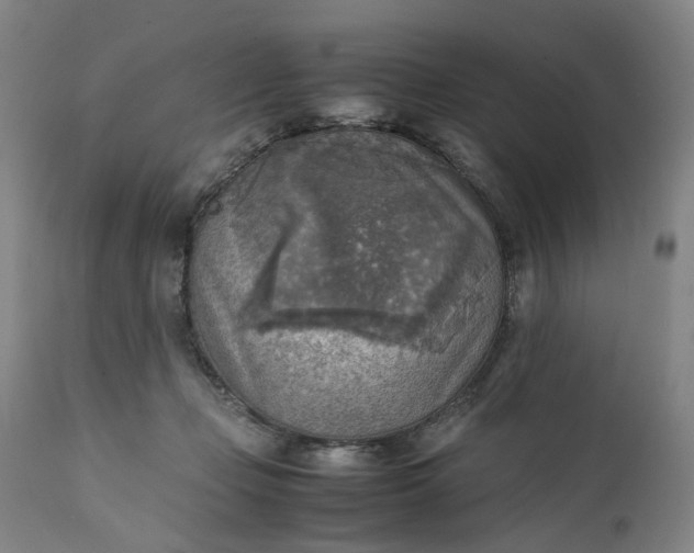 X0000111350365200907241204