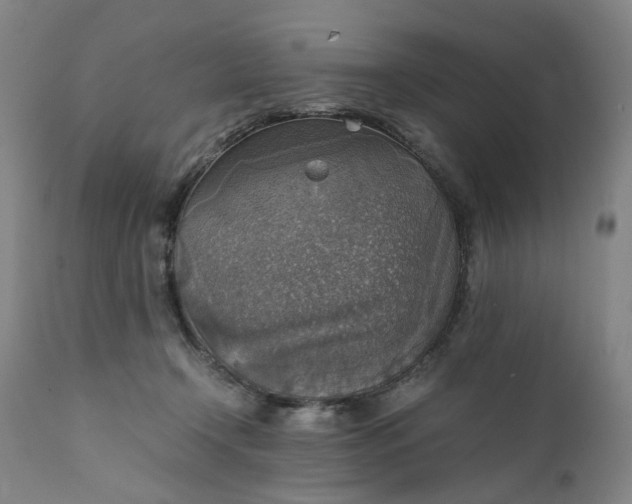 X0000111350366200907241204