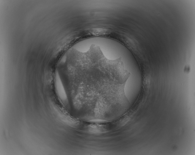 X0000111350367200907241204