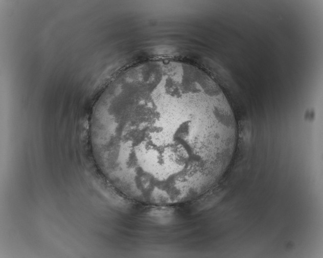 X0000111350369200907241204