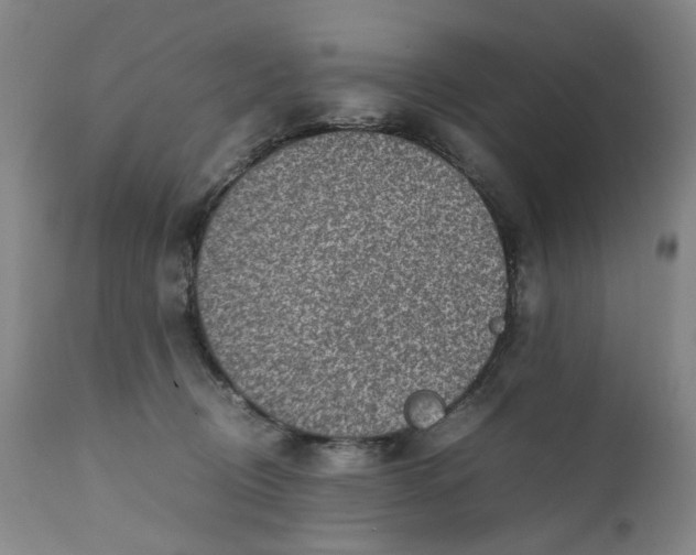 X0000111350370200907241204