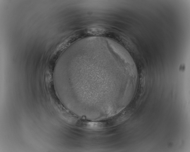 X0000111350371200907241204