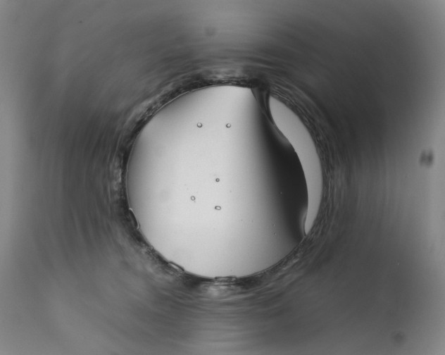 X0000111350372200907241204