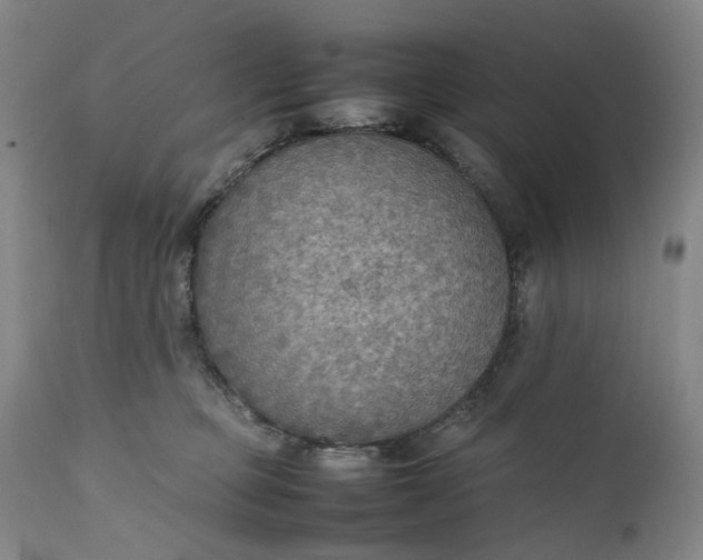 X0000111350373200907241204