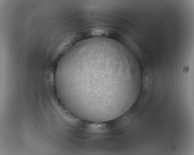 X0000111350375200907241204