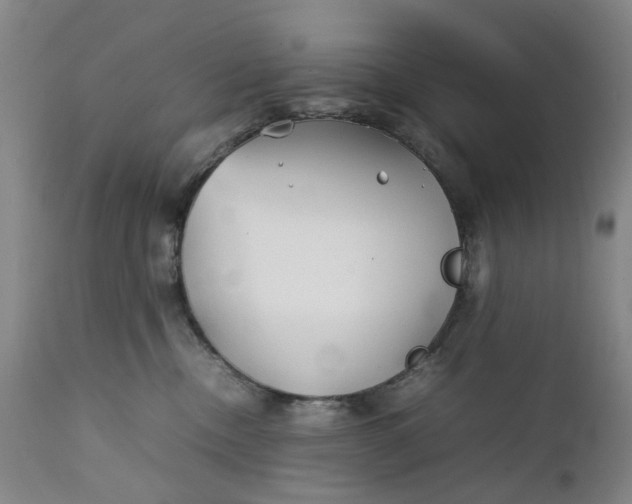 X0000111350378200907241204