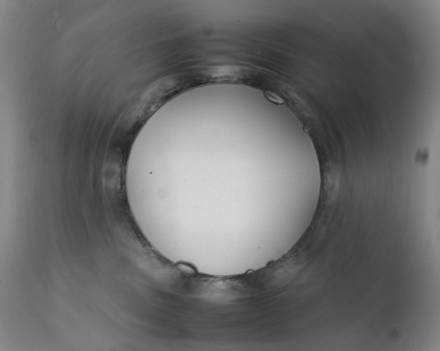 X0000111350379200907241204