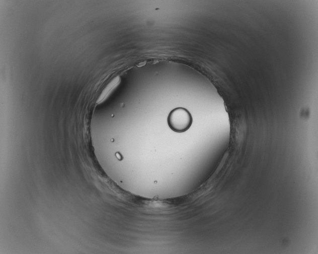 X0000111350380200907241204