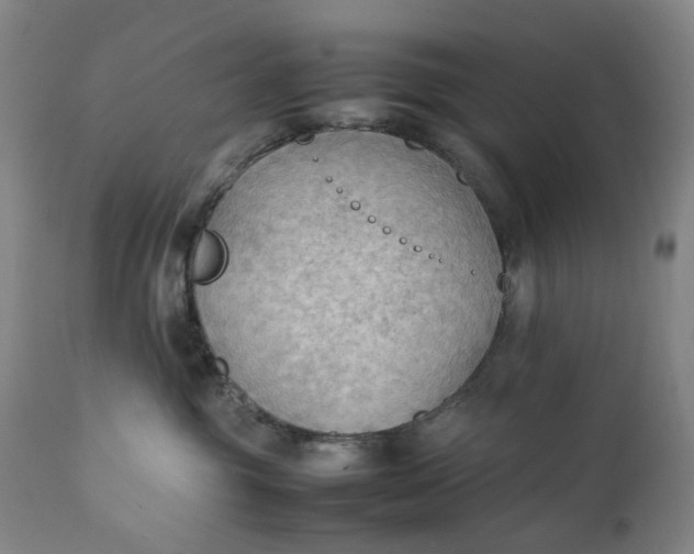 X0000111350381200907241204