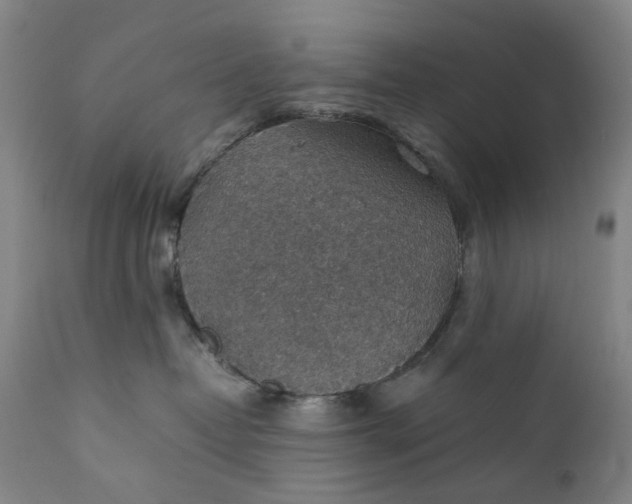 X0000111350382200907241204