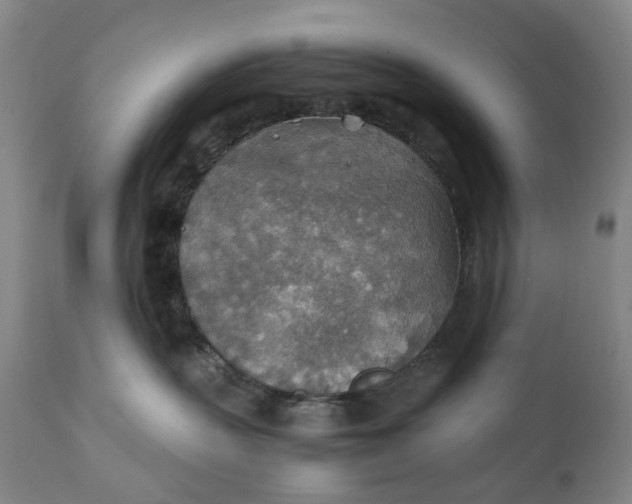 X0000111350383200907241204