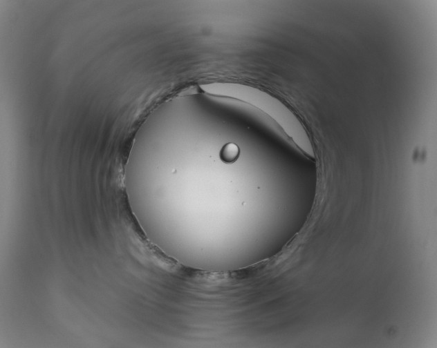 X0000111350384200907241204