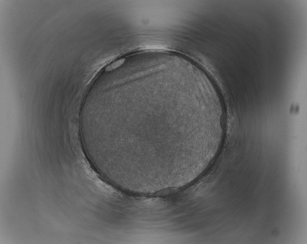 X0000111350385200907241203