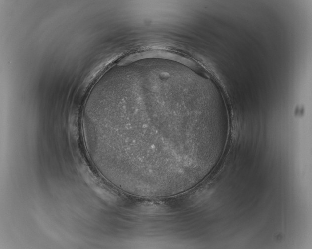 X0000111350386200907241203