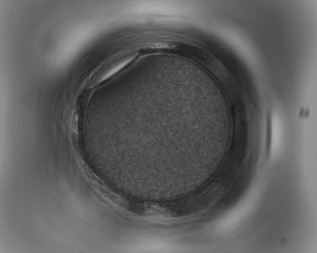 X0000111350387200907241203