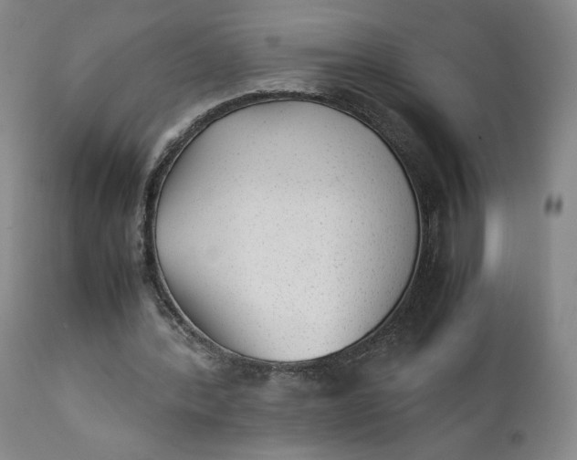 X0000111350388200907241203