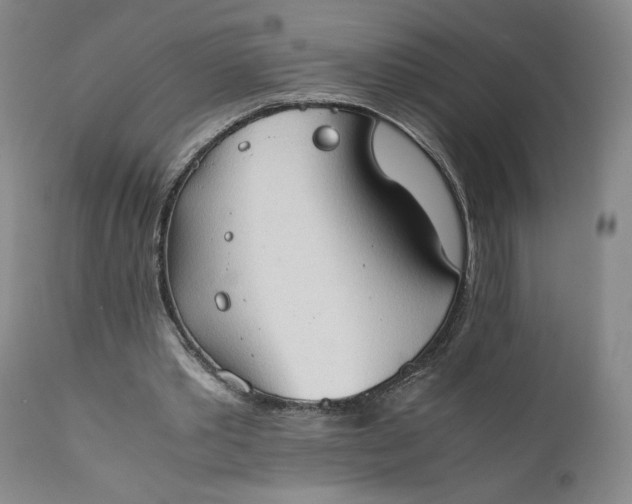 X0000111350389200907241203