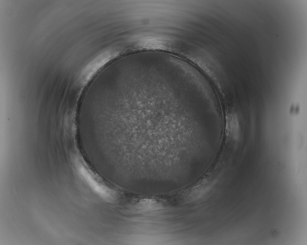 X0000111350390200907241203