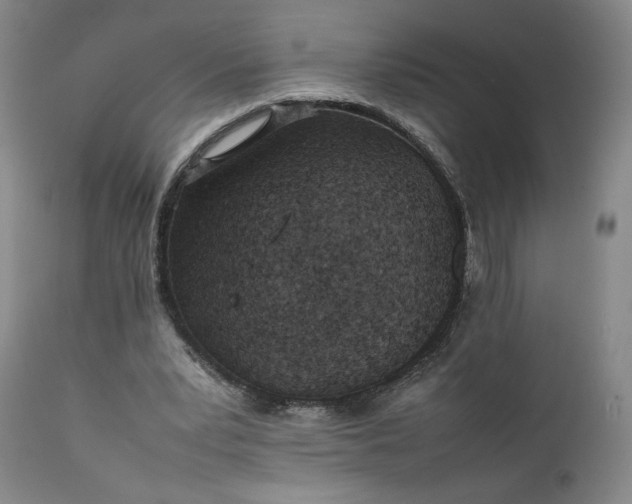 X0000111350391200907241203