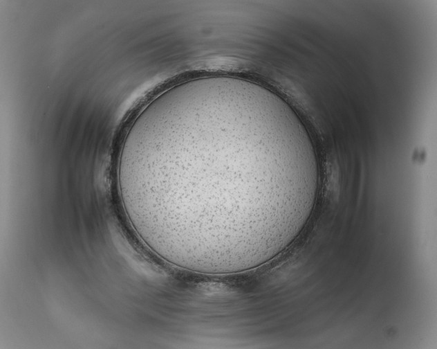 X0000111350392200907241203