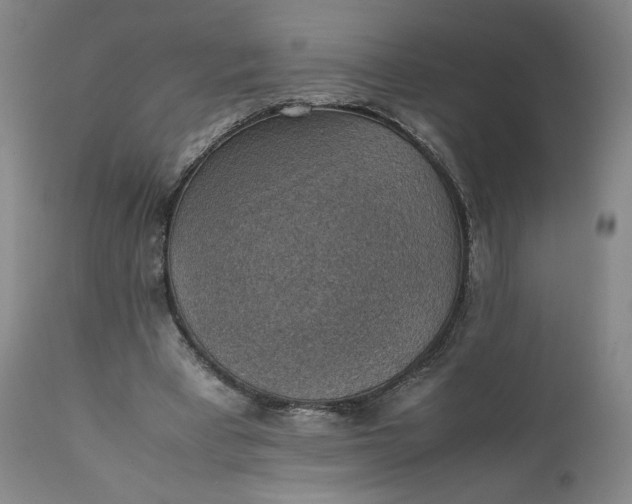 X0000111350393200907241203