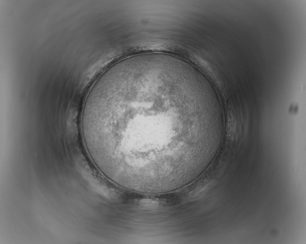 X0000111350394200907241203