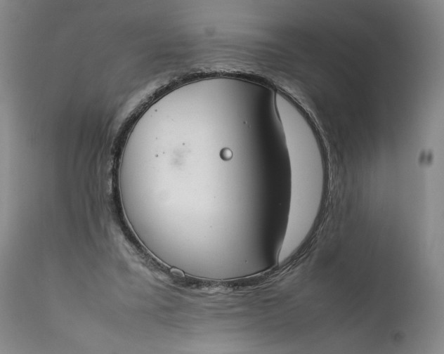 X0000111350395200907241203