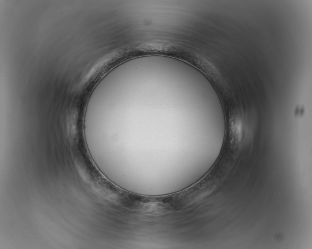 X0000111350396200907241203