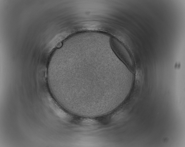 X0000111350397200907241203