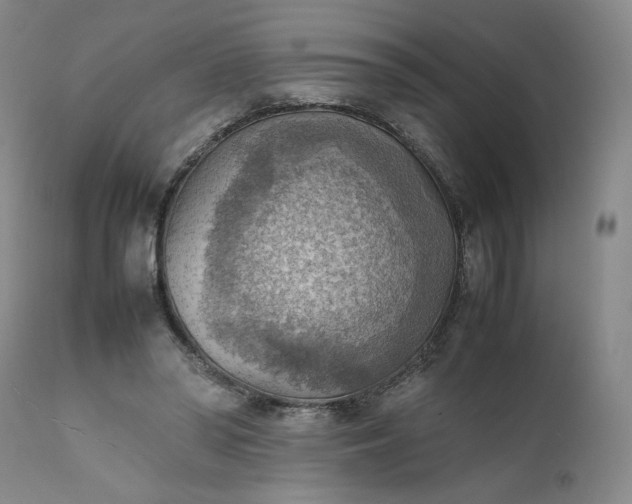 X0000111350398200907241203