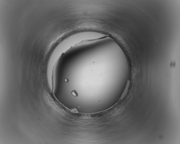 X0000111350399200907241203