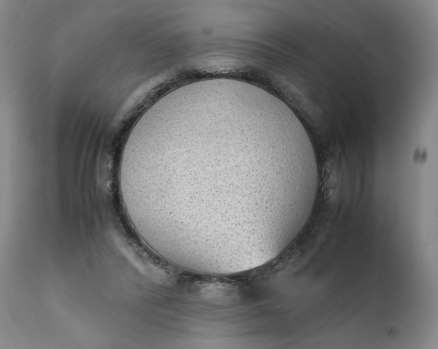 X0000111350400200907241203