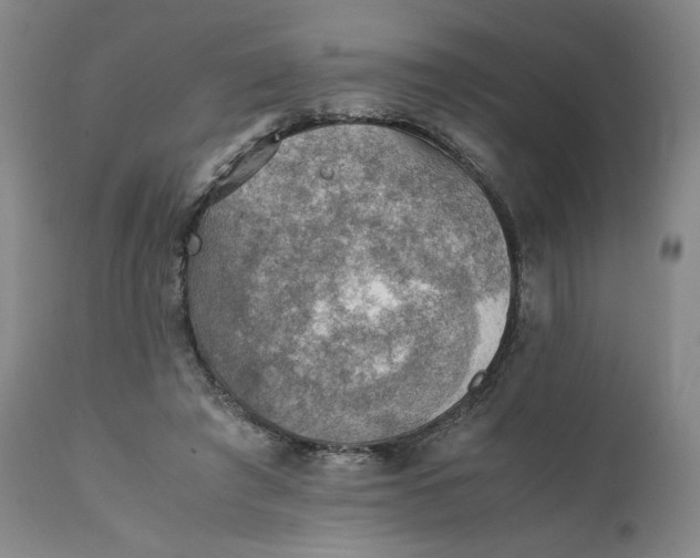 X0000111350401200907241203