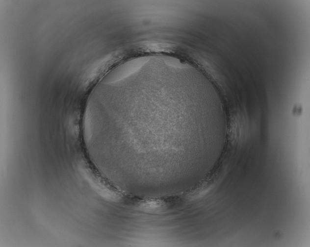 X0000111350402200907241203