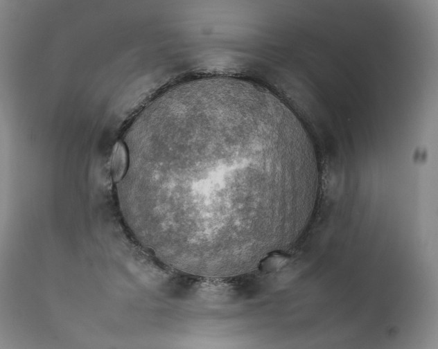 X0000111350403200907241203