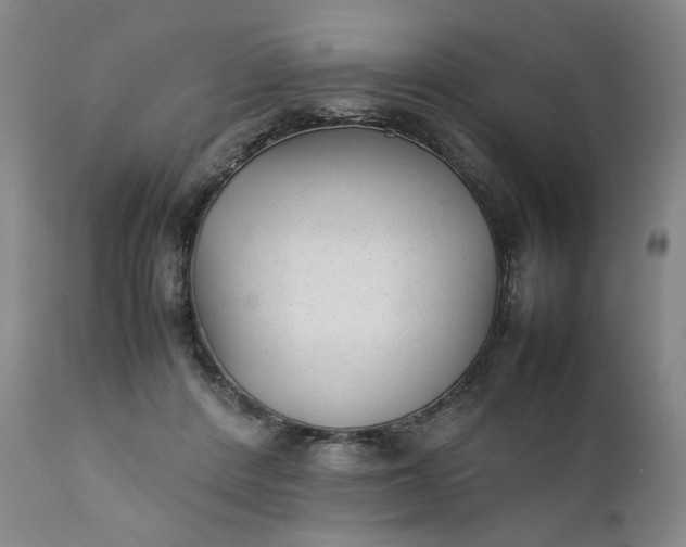 X0000111350408200907241203