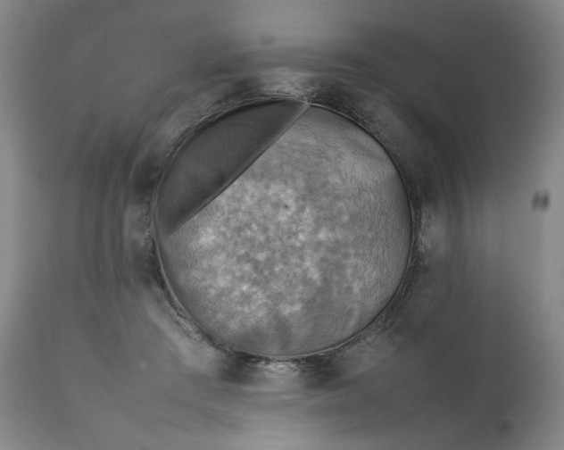 X0000111350409200907241203