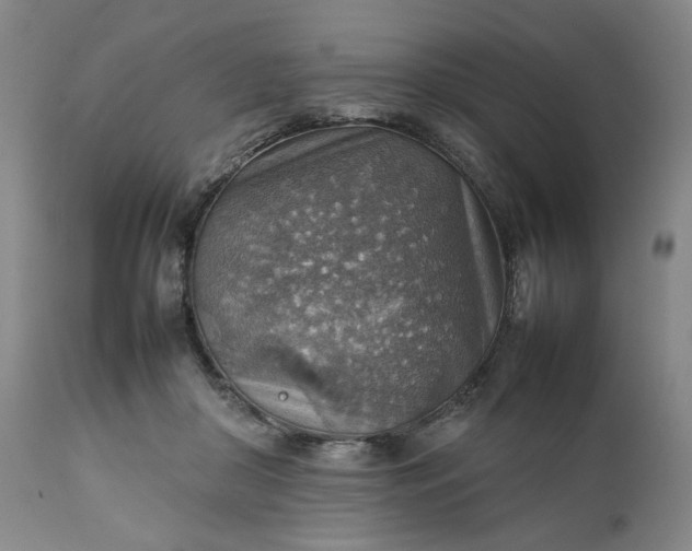 X0000111350410200907241203