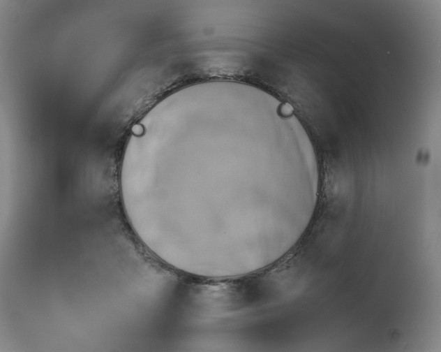 X0000111350411200907241203