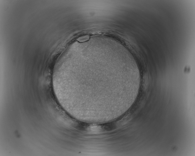 X0000111350413200907241203